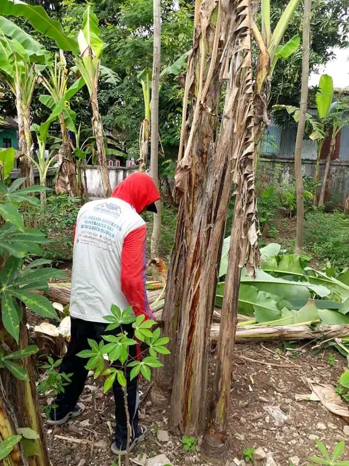 Jual Tanah Pati Jawa Tengah